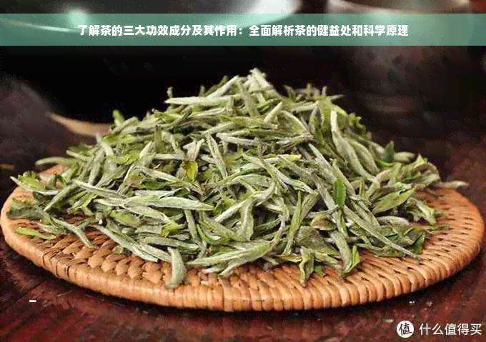 了解茶的三大功效成分及其作用：全面解析茶的健益处和科学原理