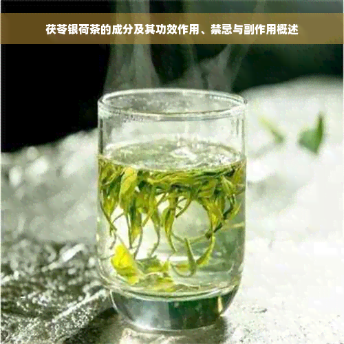 茯苓银荷茶的成分及其功效作用、禁忌与副作用概述