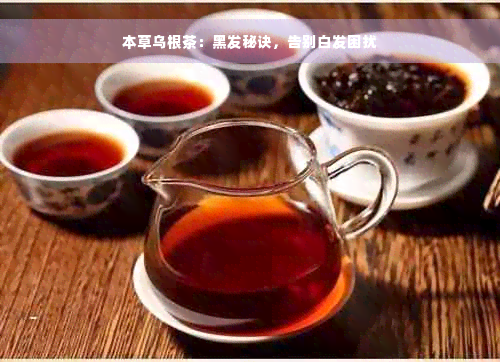 本草乌根茶：黑发秘诀，告别白发困扰