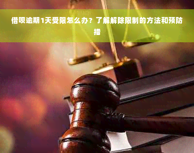 借呗逾期1天受限怎么办？了解解除限制的方法和预防措