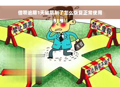 借呗逾期1天被限制了怎么恢复正常使用