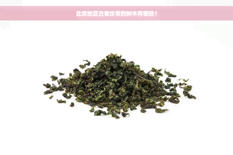 北京地区古老珍贵的树木有哪些？