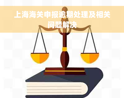 上海海关申报逾期处理及相关问题解决