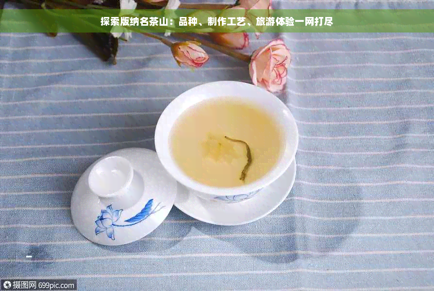 探索版纳名茶山：品种、制作工艺、旅游体验一网打尽