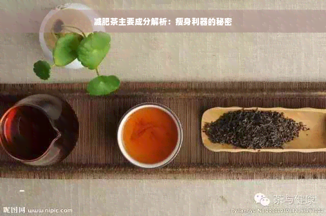 减肥茶主要成分解析：瘦身利器的秘密