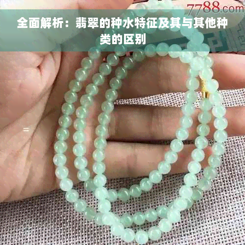 全面解析：翡翠的种水特征及其与其他种类的区别