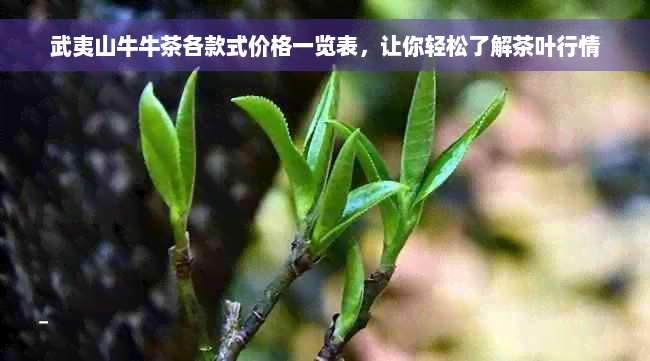 武夷山牛牛茶各款式价格一览表，让你轻松了解茶叶行情