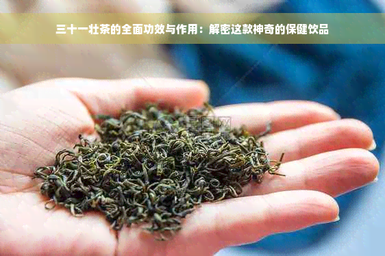 三十一壮茶的全面功效与作用：解密这款神奇的保健饮品