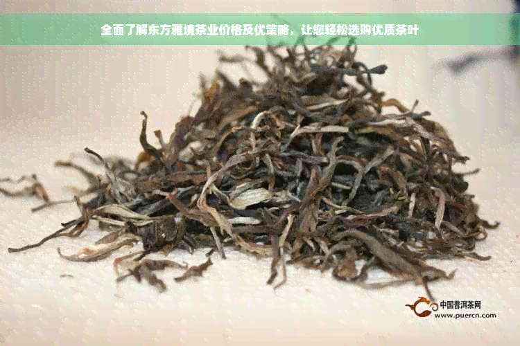 全面了解东方雅境茶业价格及优策略，让您轻松选购优质茶叶