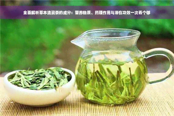 全面解析草本清润茶的成分：营养物质、药理作用与潜在功效一次看个够