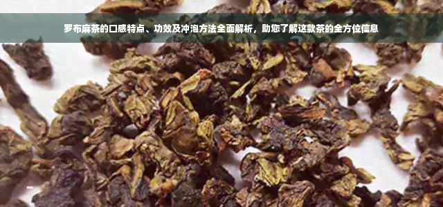 罗布麻茶的口感特点、功效及冲泡方法全面解析，助您了解这款茶的全方位信息