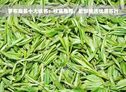 罗布麻茶十大排名：权威推荐，助你挑选优质茶叶