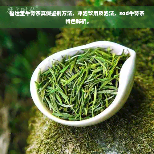 福运堂牛蒡茶真假鉴别方法，冲泡饮用及泡法，sod牛蒡茶特色解析。