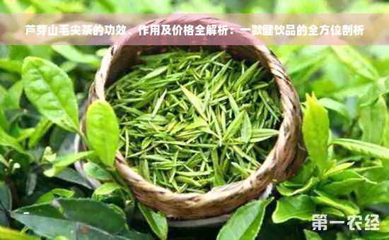 芦芽山毛尖茶的功效、作用及价格全解析：一款健饮品的全方位剖析