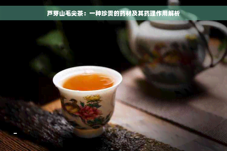 芦芽山毛尖茶：一种珍贵的药材及其药理作用解析