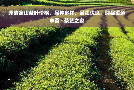 州清凉山茶叶价格，品种多样，品质优良，购买渠道丰富 - 茶艺之家