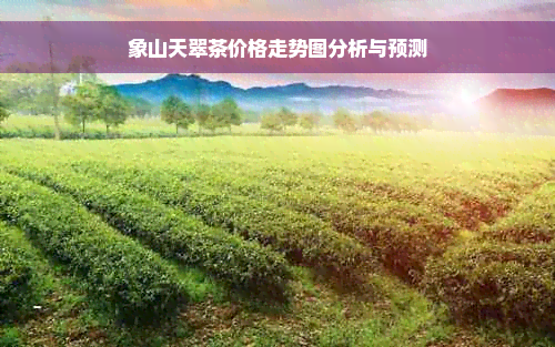 象山天翠茶价格走势图分析与预测