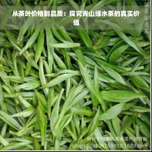 从茶叶价格到品质：探究青山绿水茶的真实价值