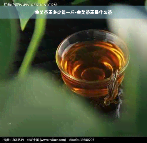 金奖茶王多少钱一斤-金奖茶王是什么茶