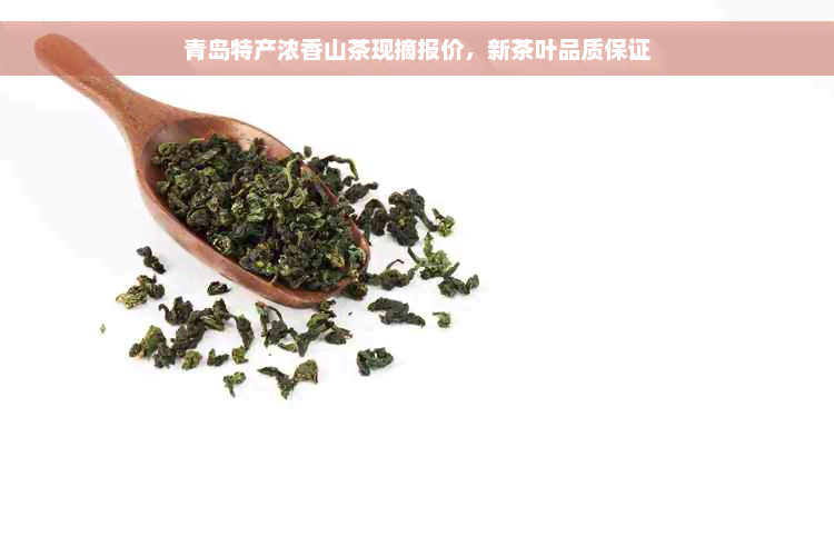 青岛特产浓香山茶现摘报价，新茶叶品质保证