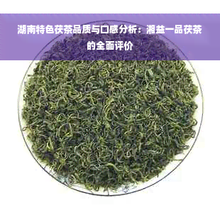 湖南特色茯茶品质与口感分析：湘益一品茯茶的全面评价