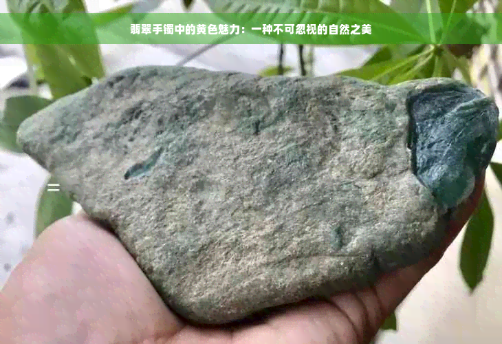 翡翠手镯中的黄色魅力：一种不可忽视的自然之美