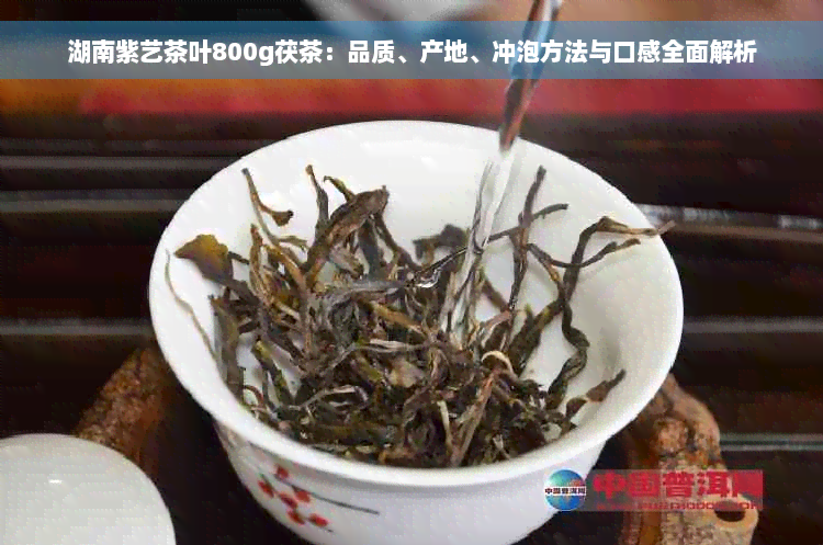 湖南紫艺茶叶800g茯茶：品质、产地、冲泡方法与口感全面解析