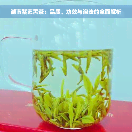 湖南紫艺黑茶：品质、功效与泡法的全面解析