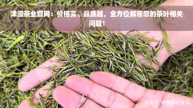 津漫茶业官网：价格实、品质越，全方位解答您的茶叶相关问题！