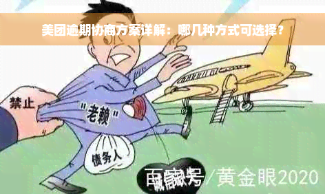 美团逾期协商方案详解：哪几种方式可选择？