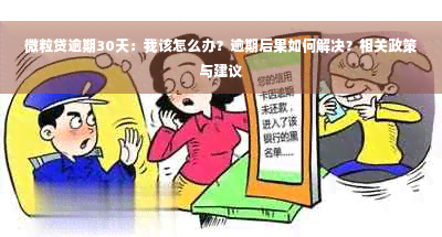 微粒贷逾期30天：我该怎么办？逾期后果如何解决？相关政策与建议