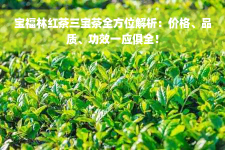 宝福林红茶三宝茶全方位解析：价格、品质、功效一应俱全！