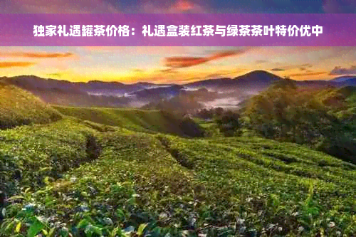 独家礼遇罐茶价格：礼遇盒装红茶与绿茶茶叶特价优中