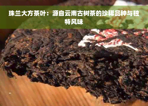 珠兰大方茶叶：源自云南古树茶的珍稀品种与独特风味