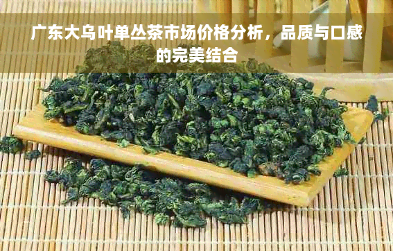 广东大乌叶单丛茶市场价格分析，品质与口感的完美结合