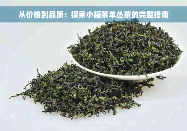 从价格到品质：探索小罐茶单丛茶的完整指南