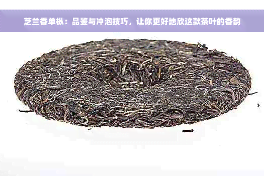 芝兰香单枞：品鉴与冲泡技巧，让你更好地欣这款茶叶的香韵