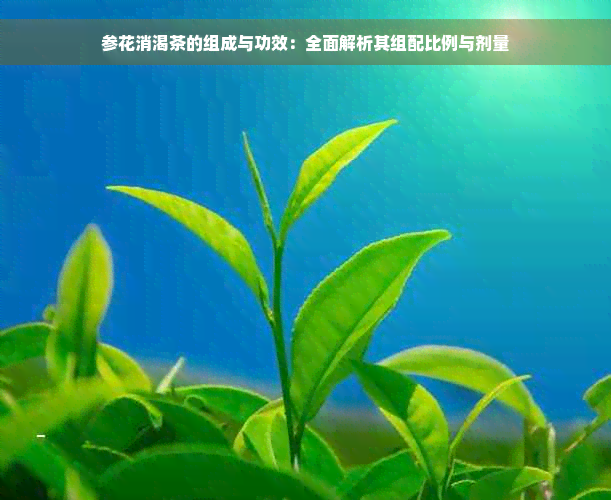 参花消渴茶的组成与功效：全面解析其组配比例与剂量