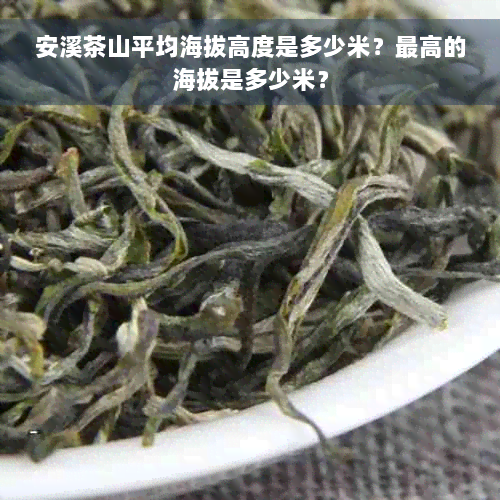 安溪茶山平均海拔高度是多少米？更高的海拔是多少米？