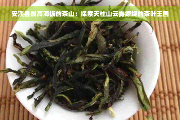 安溪县更高海拔的茶山：探索天柱山云雾缭绕的茶叶王国