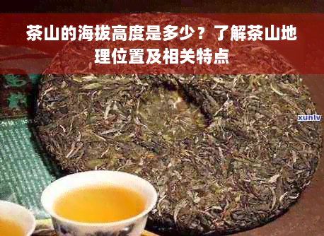 茶山的海拔高度是多少？了解茶山地理位置及相关特点