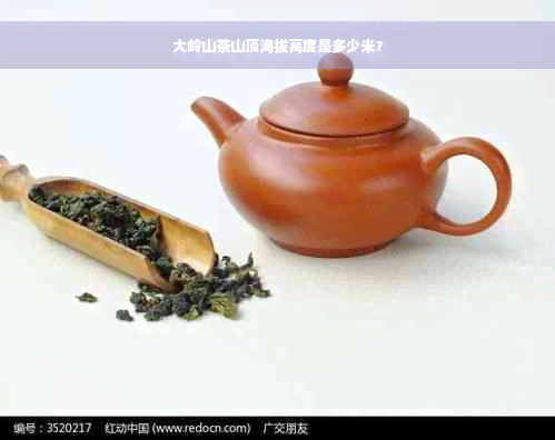 大岭山茶山顶海拔高度是多少米？