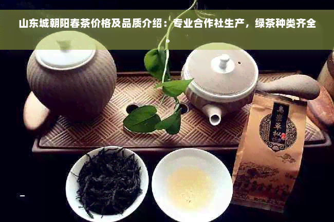 山东城朝阳春茶价格及品质介绍：专业合作社生产，绿茶种类齐全。