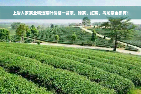 上岩人家茶业精选茶叶价格一览表，绿茶、红茶、乌龙茶全都有！