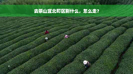 去茶山宜北町区别什么，怎么走？