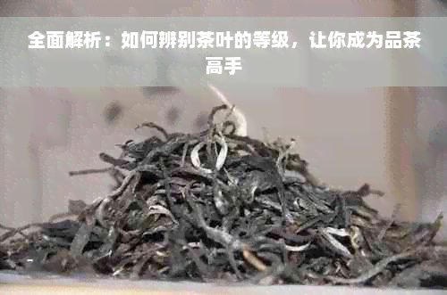 全面解析：如何辨别茶叶的等级，让你成为品茶高手