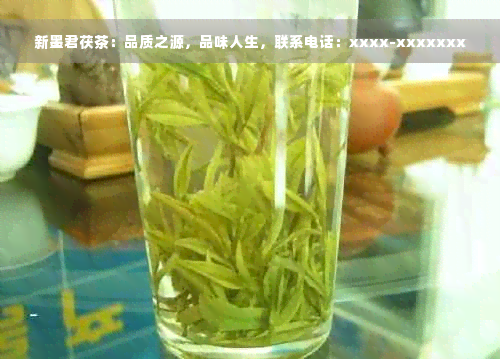 新墨君茯茶：品质之源，品味人生，联系电话：xxxx-xxxxxxx