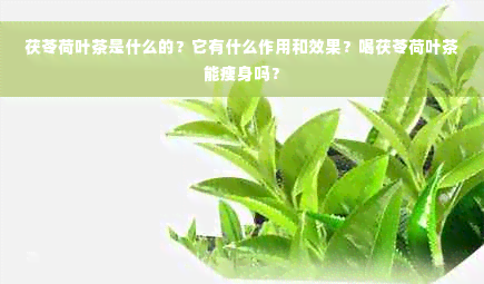 茯苓荷叶茶是什么的？它有什么作用和效果？喝茯苓荷叶茶能瘦身吗？