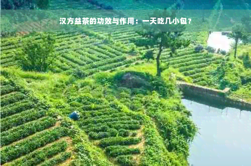 汉方益茶的功效与作用：一天吃几小包？