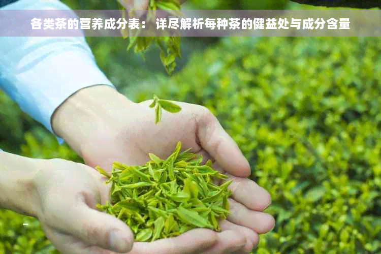 各类茶的营养成分表： 详尽解析每种茶的健益处与成分含量